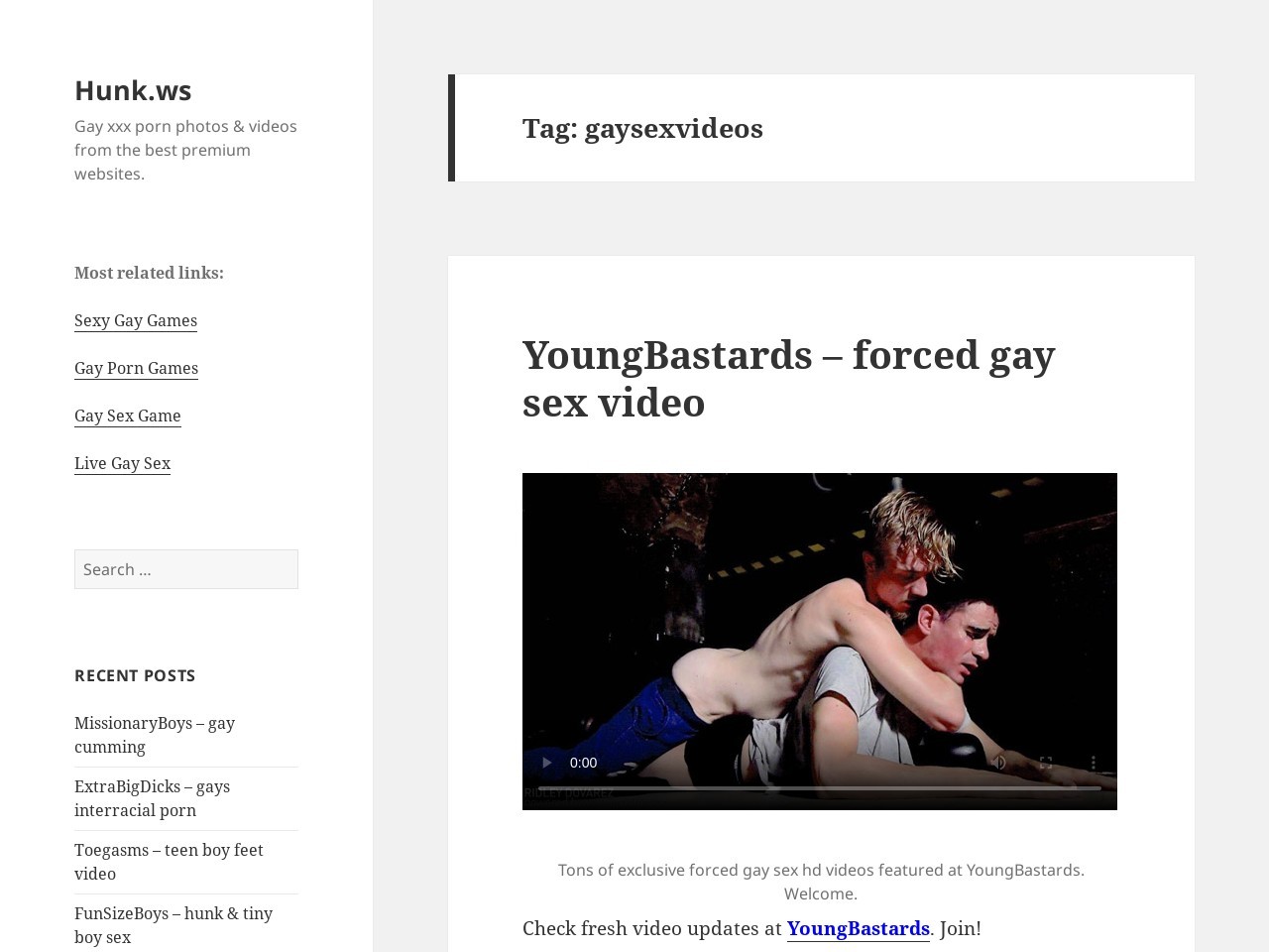 GaySexVideos Review